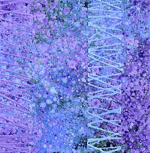 Lavender Reflections #3 (12"x12")