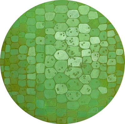 Cavolo Nero (12"x12") #2