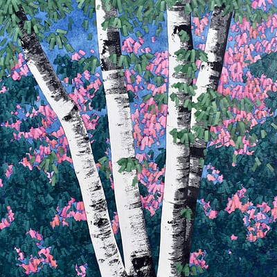 Sakura (36"x36")