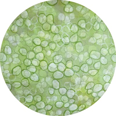 Cucumber (12"x12")
