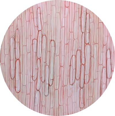 Asparagus (12"x12")
