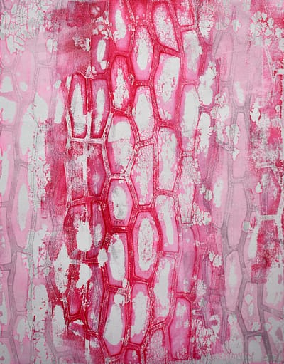 Red Chard Monotype 1 (8"x10" / 12"x16" matted)